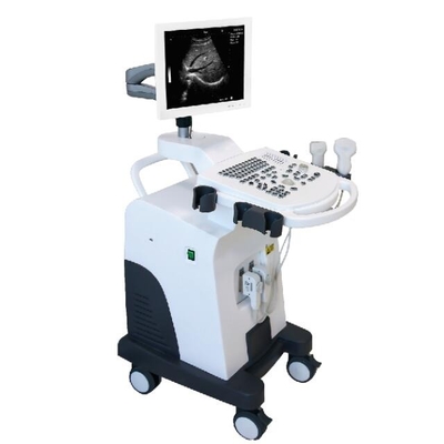 Full Metal LCD Display Multilingual Trolley Didital Ultrasound Scanner Machine AJ-6100T
